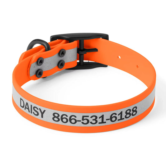 Orvis Trusted | Orvis Waterproof Dog Collar