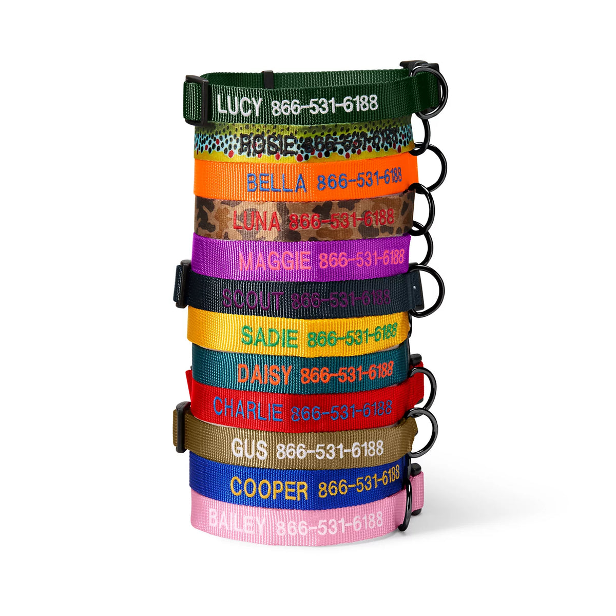 Orvis Best Price | Personalized Side-Release Buckle Collar