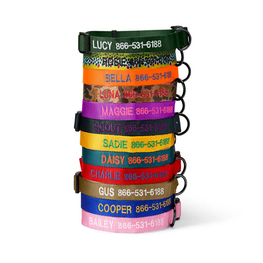Orvis Best Price | Personalized Side-Release Buckle Collar