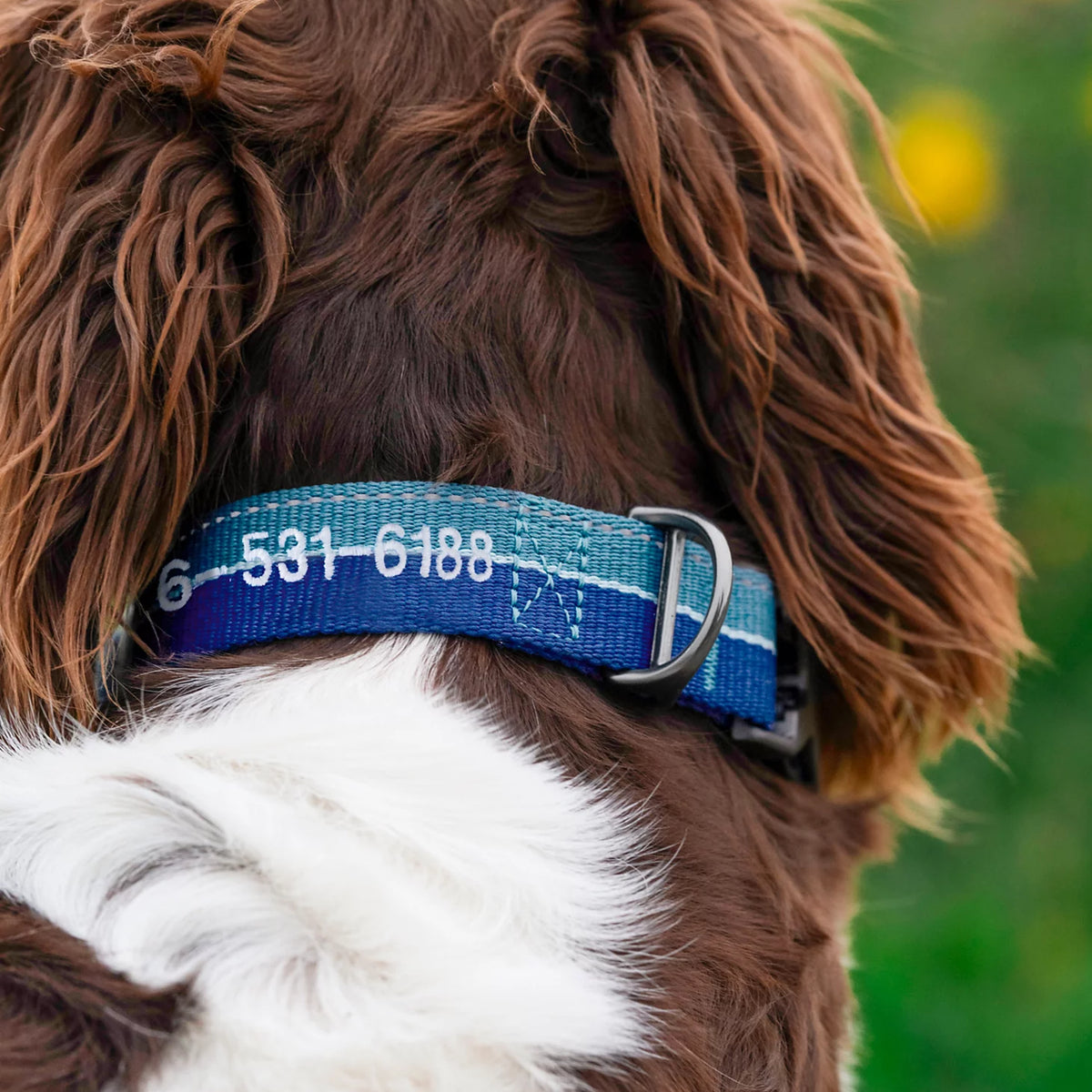 Orvis Signature | Tough Trail® Collar 2.0