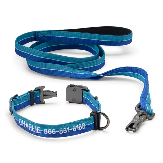Orvis Customer Favorite | Tough Trail® Collar & Leash Bundle