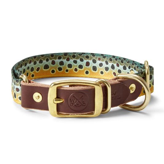 Orvis Recommended | Whiskey Leatherworks Adjustable Collar