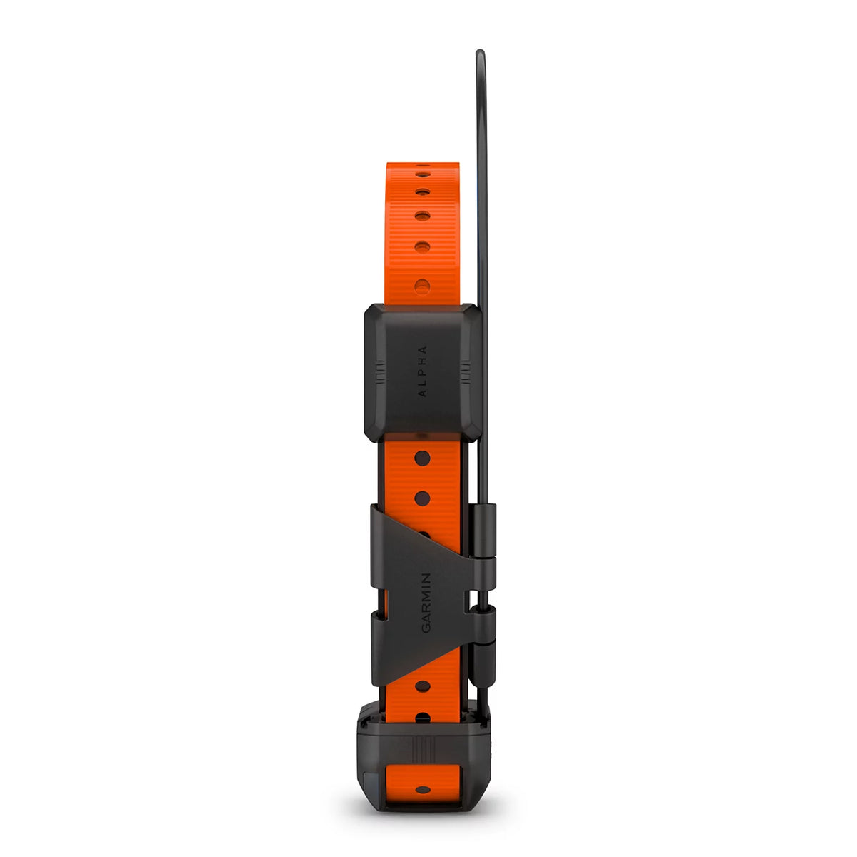 Orvis Great Value | Garmin® Alpha® TT 25 GPS Dog Collar
