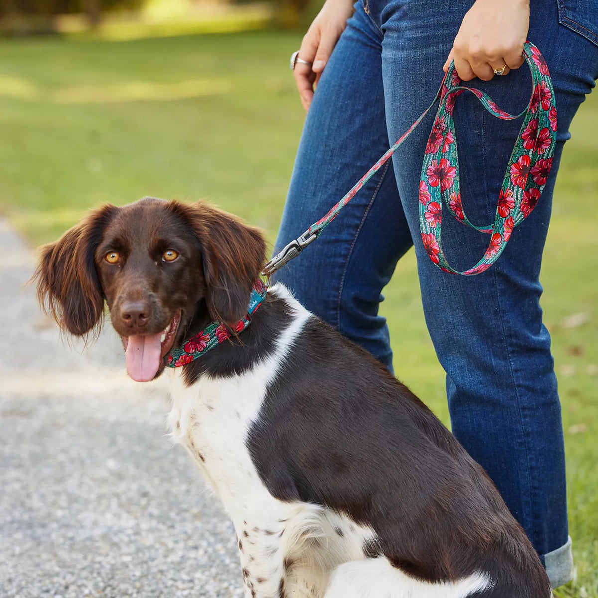 Orvis Signature | Orvis x Fishe® Wear Collar