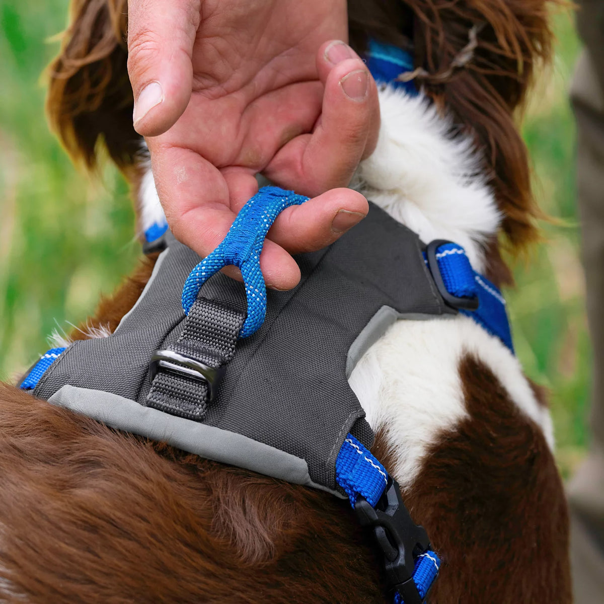 Orvis Recommended | Tough Trail® Four-Point Dog Harness