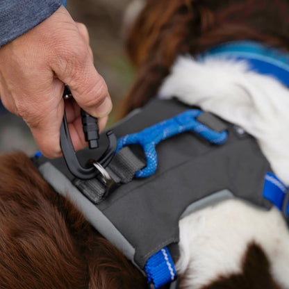 Orvis Recommended | Tough Trail® Four-Point Dog Harness