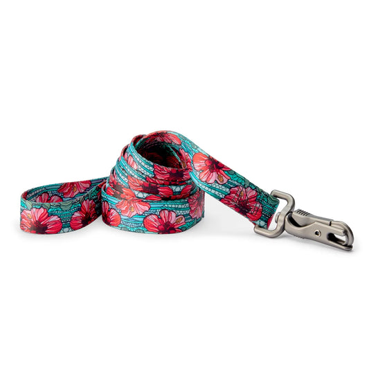 Orvis Best Price | Orvis x Fishe® Wear Dog Leash