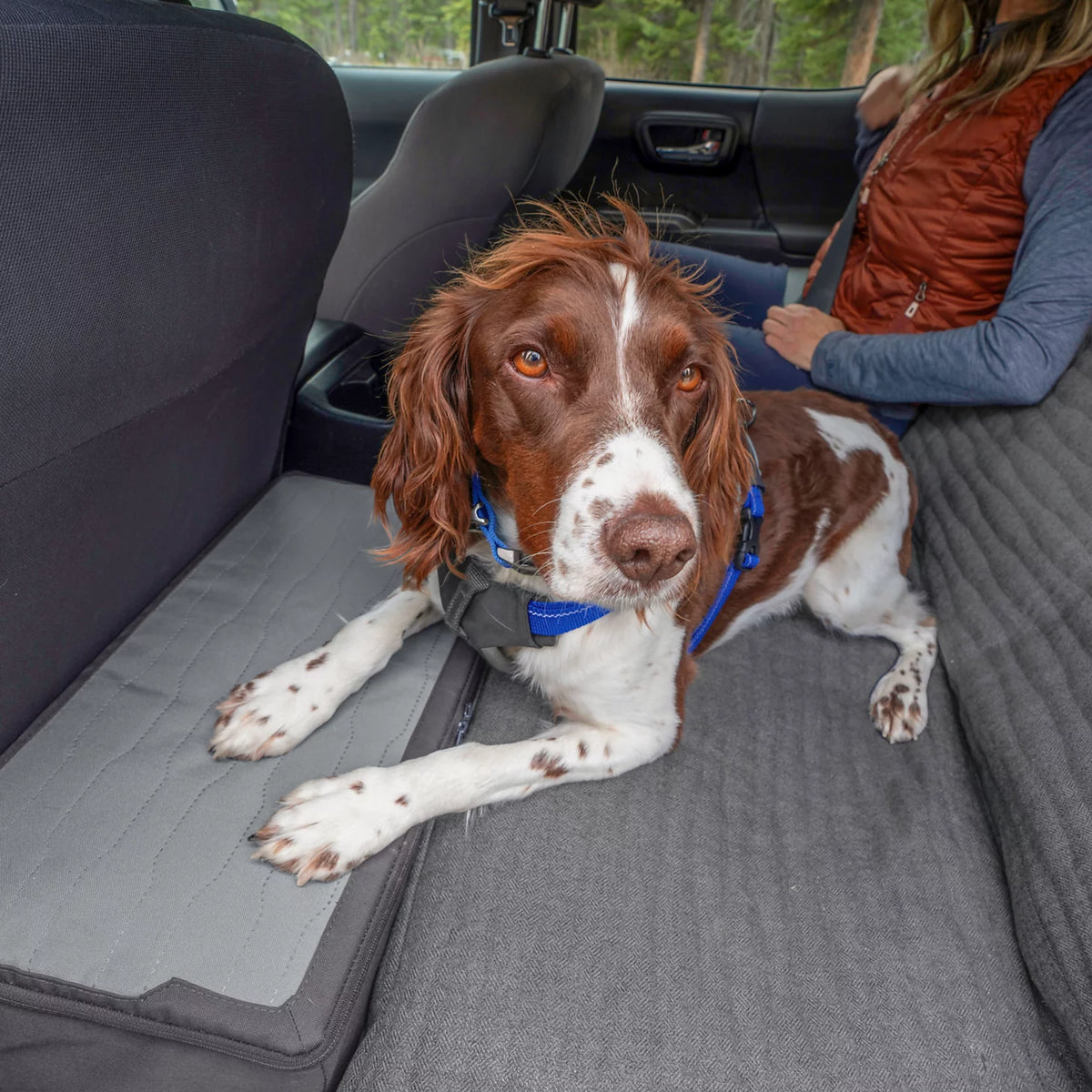 Orvis Latest | Tough Trail® Dog Seat Extender Storage Box