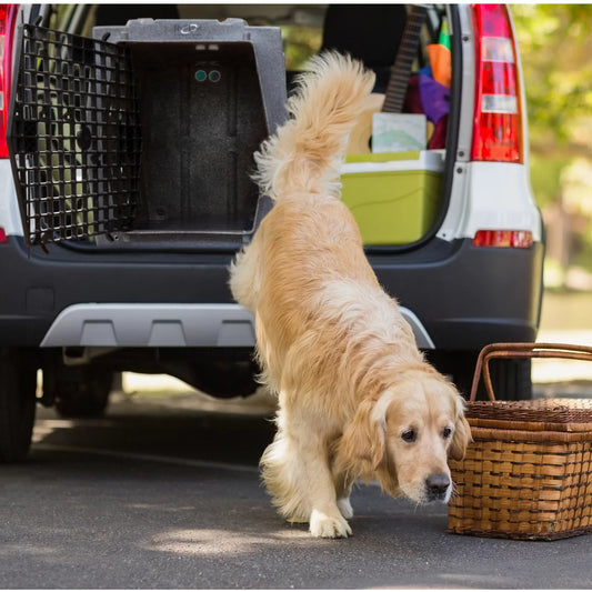 Orvis Premium | Ruff Land™ Performance Dog Kennel
