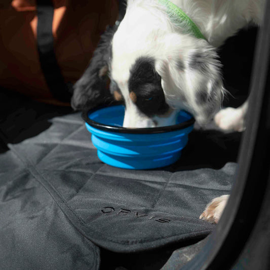Orvis Value | Tough Trail® Collapsible Dog Bowl