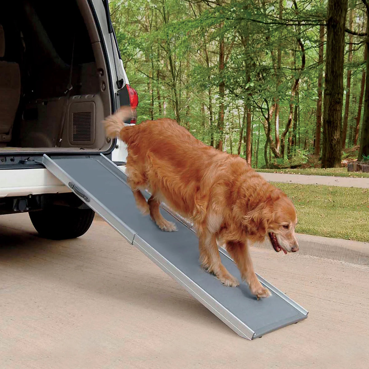Orvis Latest | Super-Lightweight Pet Ramps