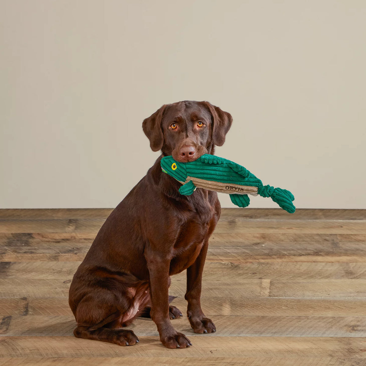Orvis Quality | Animal Squeaky Toys