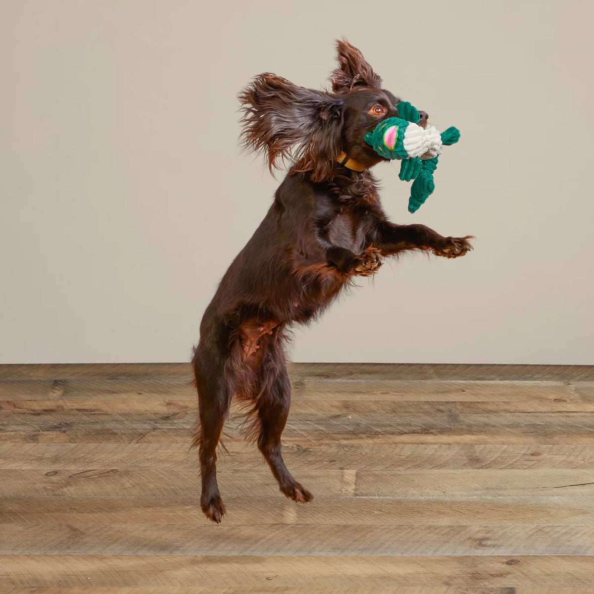 Orvis Quality | Animal Squeaky Toys
