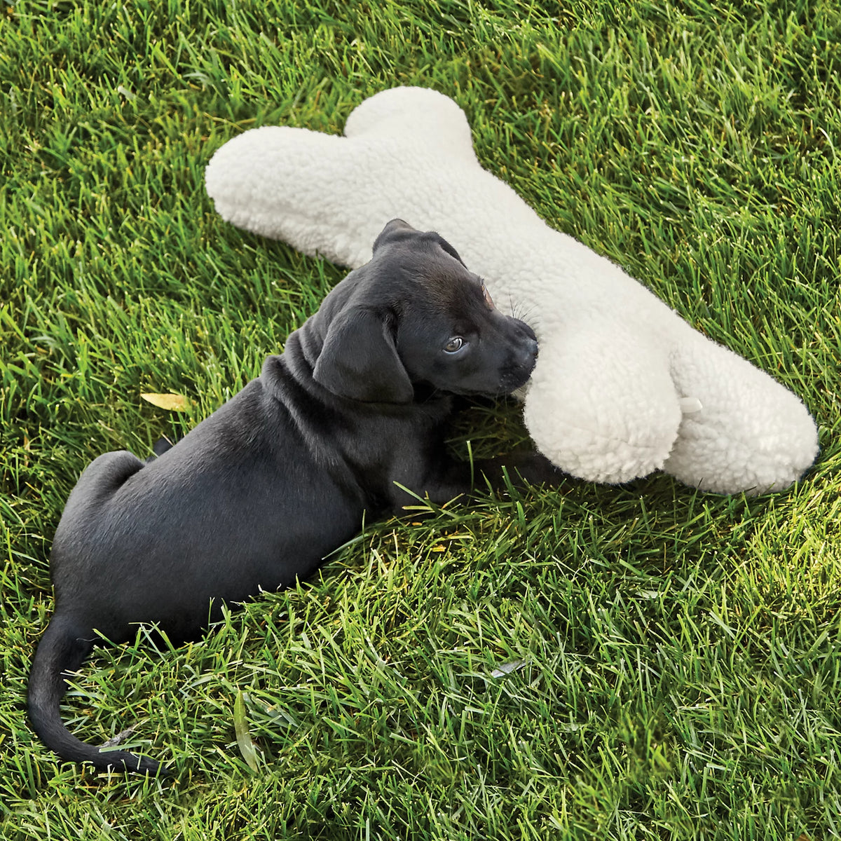 Orvis Value | Fleece Dog Bone