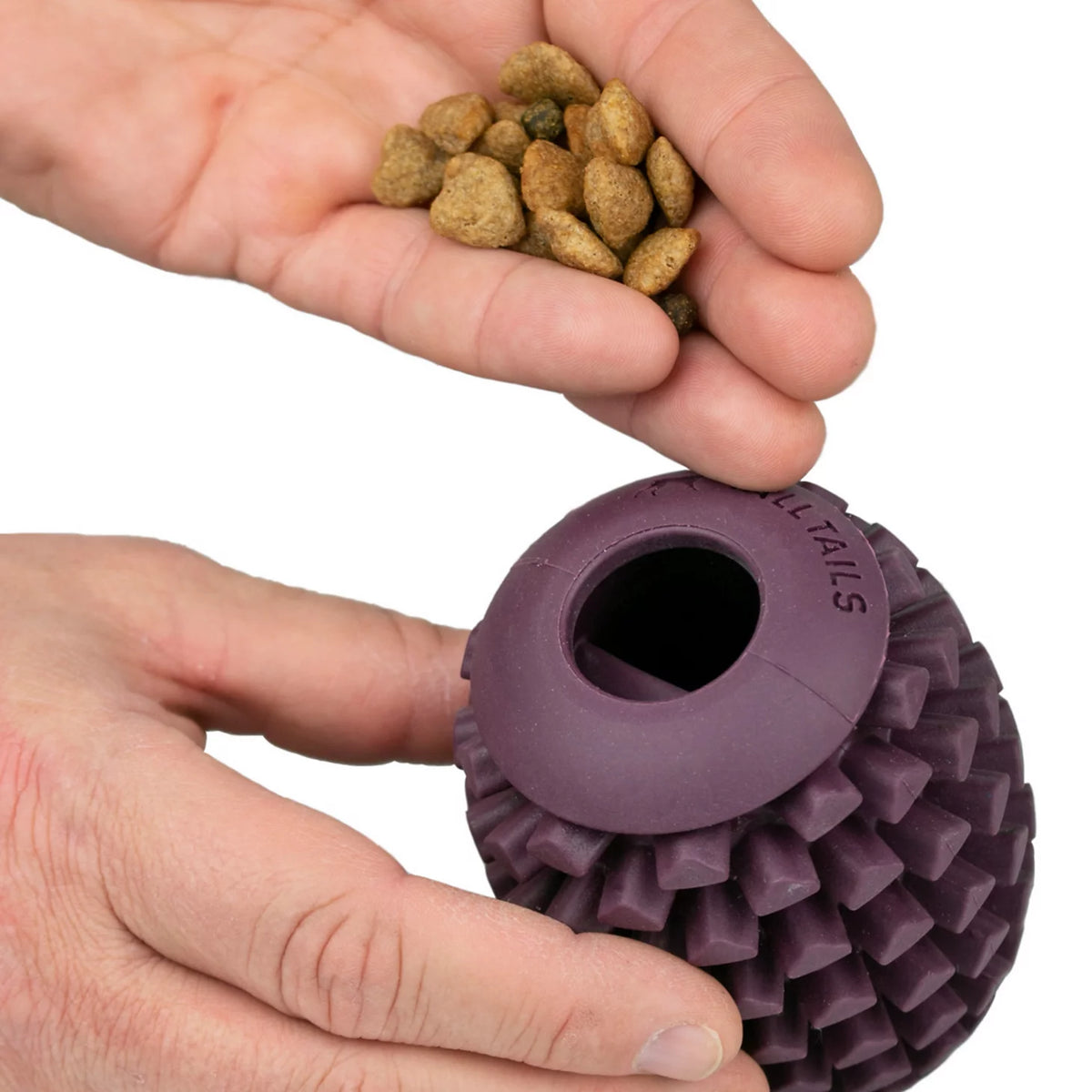 Orvis Everyday | Pinecone Reward Dog Toy