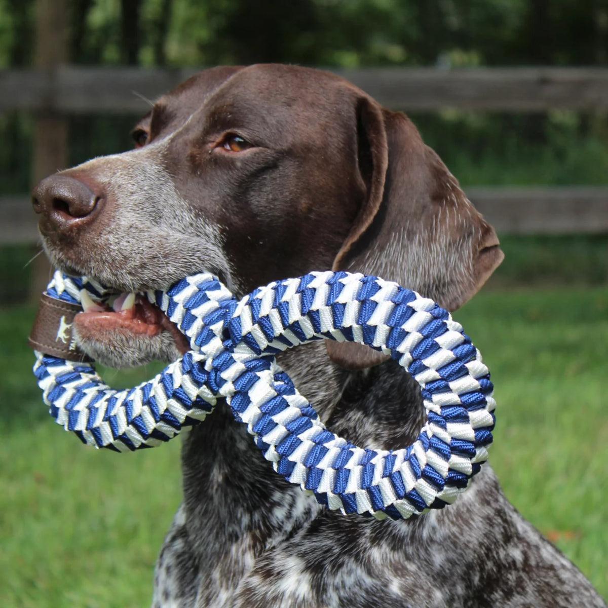 Orvis New | Infinity Braided Dog Toy