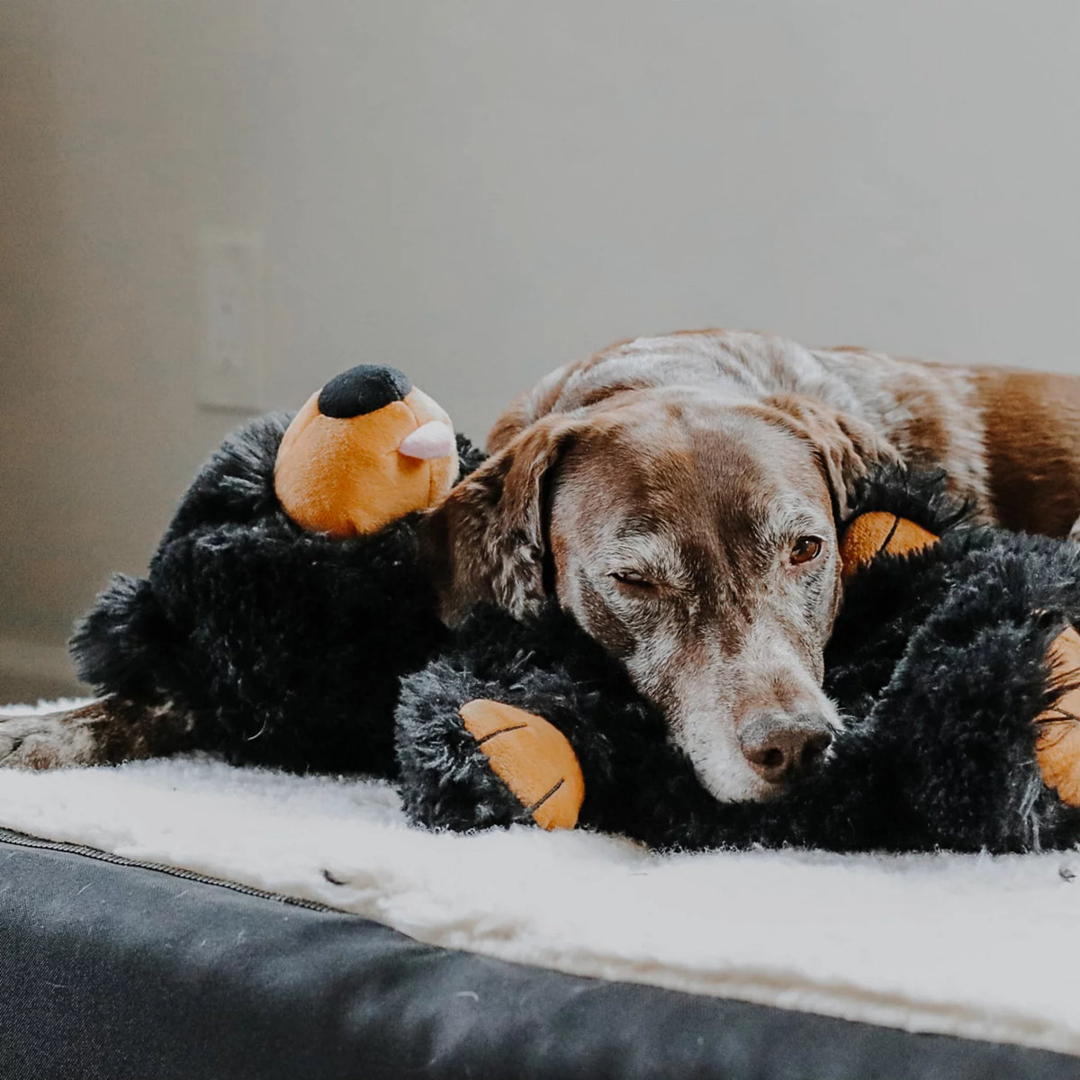 Orvis Sale | Black Bear Rope Dog Toy