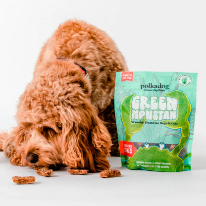 Orvis Discount | Polkadog Green Monstah Bones
