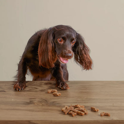 Orvis Discount | Polkadog Green Monstah Bones