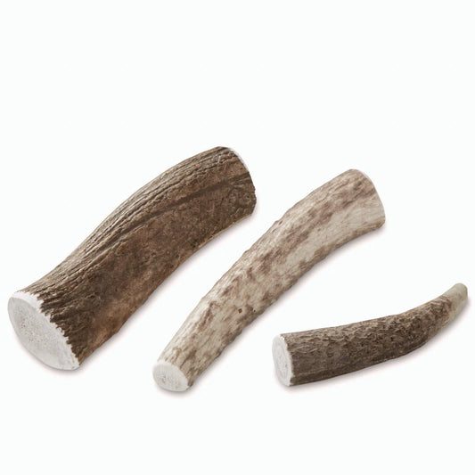 Orvis Exclusive | Elk Antler Chews