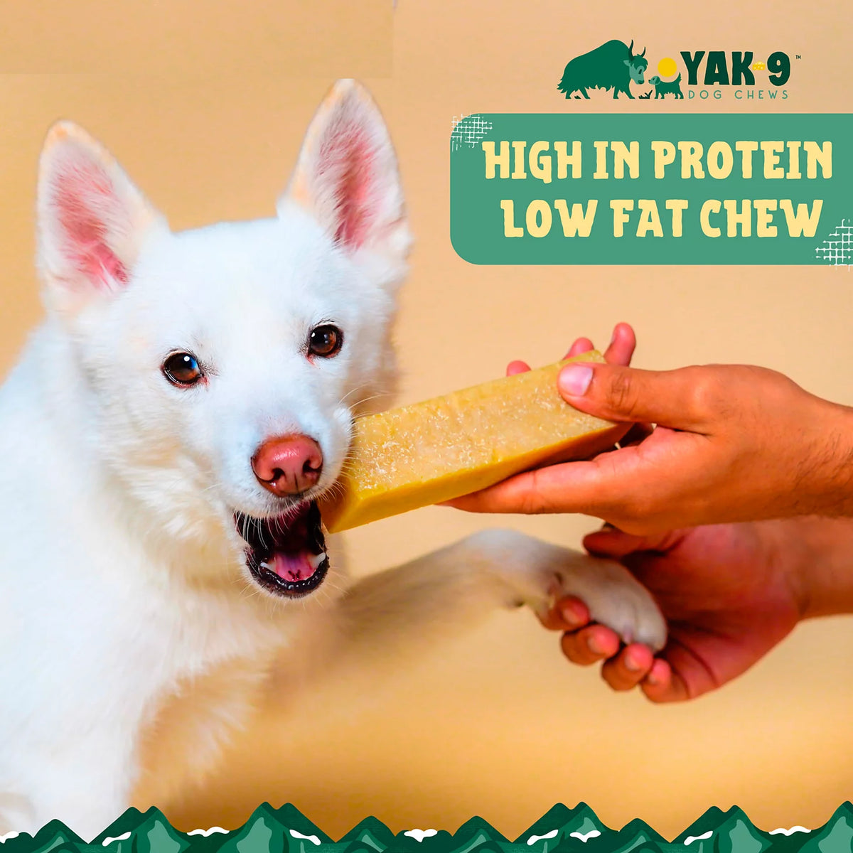 Orvis Quality | Yak-9 Dog Chew - Single