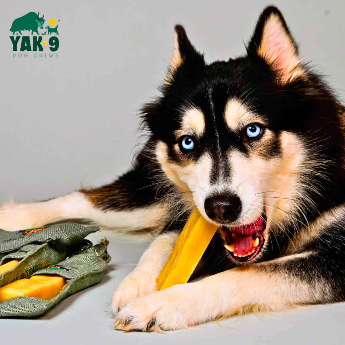 Orvis Quality | Yak-9 Dog Chew - Single