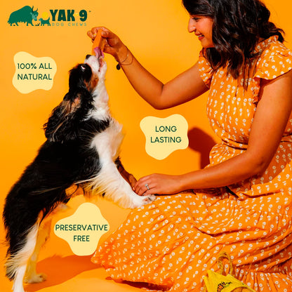 Orvis Quality | Yak-9 Dog Chew - Single