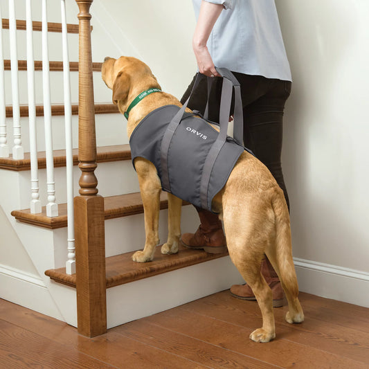 Orvis Featured | Dog Lift