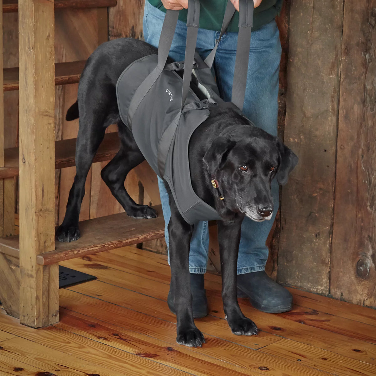 Orvis Featured | Dog Lift