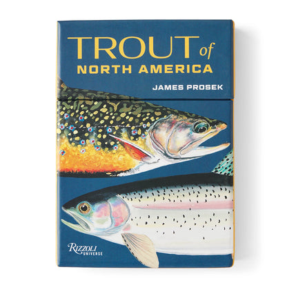 Orvis New | Trout of North America Cards